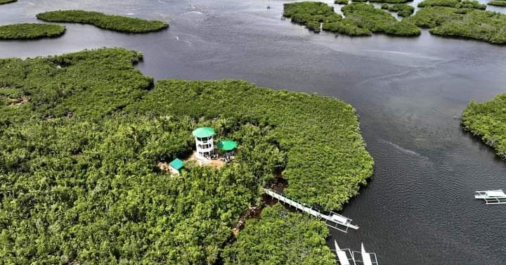 Del Carmen Mangrove Forest